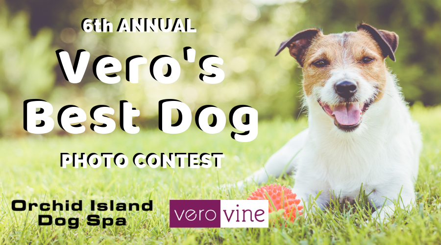 Vero's Best Dog Photo Contest